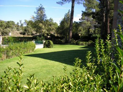 Finca de 4000 m2 con piscina en recinto vallado, barbacoa, zona de césped, aparcamiento privado....