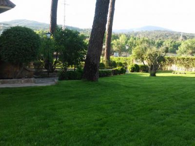 Finca de 4000 m2 con piscina en recinto vallado, barbacoa, zona de césped, aparcamiento privado....