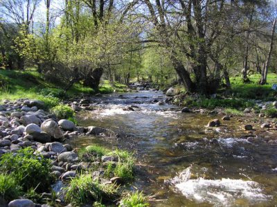 Un entorno único.... junto al rio Alberche y a 1 Km de la Reserva Natural del Valle de Iruelas