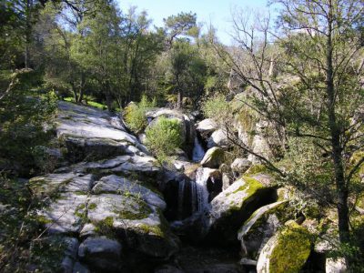 Un entorno único.... junto al rio Alberche y a 1 Km de la Reserva Natural del Valle de Iruelas