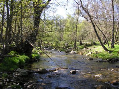 Un entorno único.... junto al rio Alberche y a 1 Km de la Reserva Natural del Valle de Iruelas